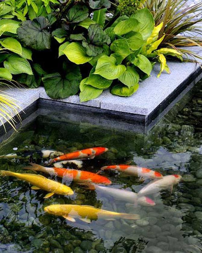 Khu vườn bí mật...